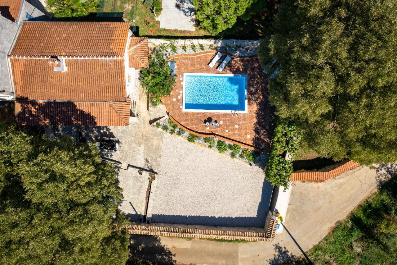 Villa Arboretum Poreč Exteriér fotografie